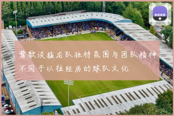 莺歌谈猛龙队独特氛围与团队精神不同于以往经历的球队文化