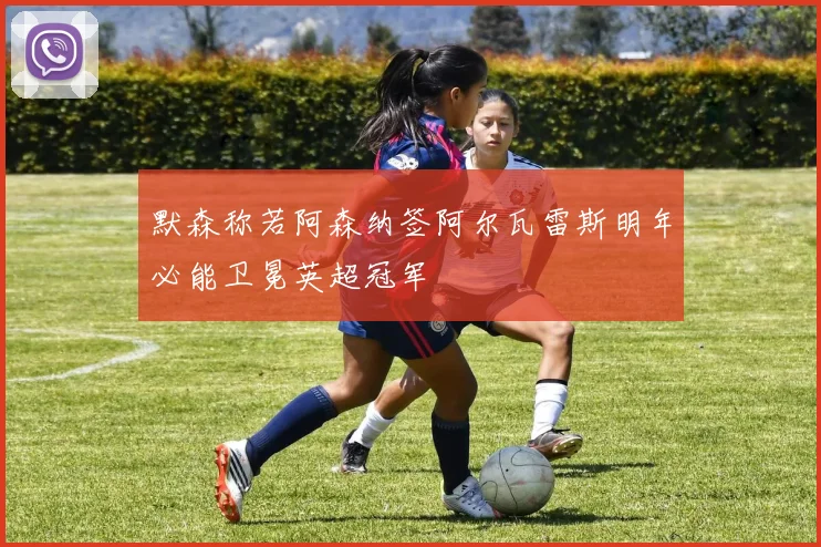 默森称若阿森纳签阿尔瓦雷斯明年必能卫冕英超冠军